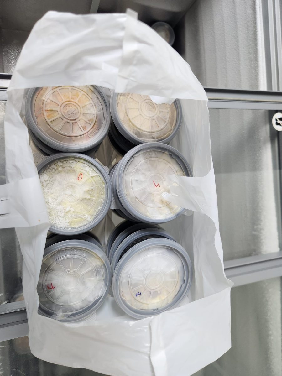 First-week meal support